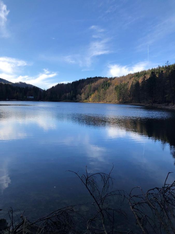 Fewo Atterseeperle - 80M2 Mit See- Und Gebirgsblick 阿特湖畔施泰因巴赫 外观 照片