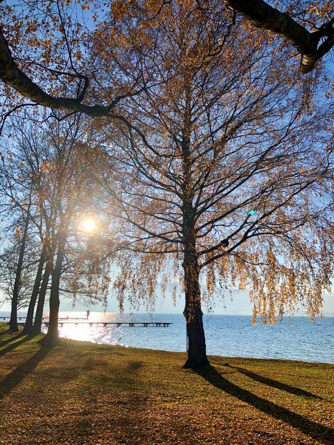 Fewo Atterseeperle - 80M2 Mit See- Und Gebirgsblick 阿特湖畔施泰因巴赫 外观 照片