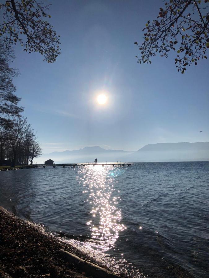 Fewo Atterseeperle - 80M2 Mit See- Und Gebirgsblick 阿特湖畔施泰因巴赫 外观 照片