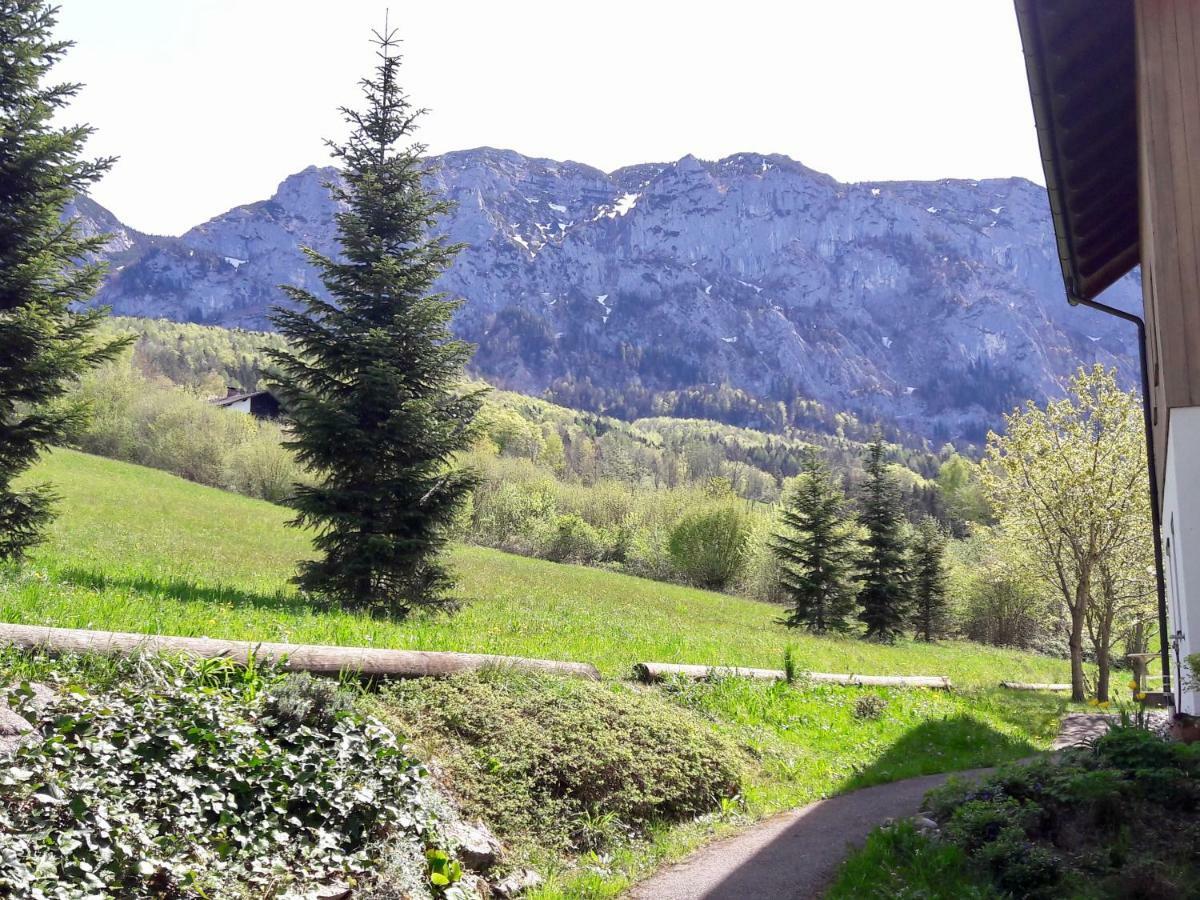 Fewo Atterseeperle - 80M2 Mit See- Und Gebirgsblick 阿特湖畔施泰因巴赫 外观 照片